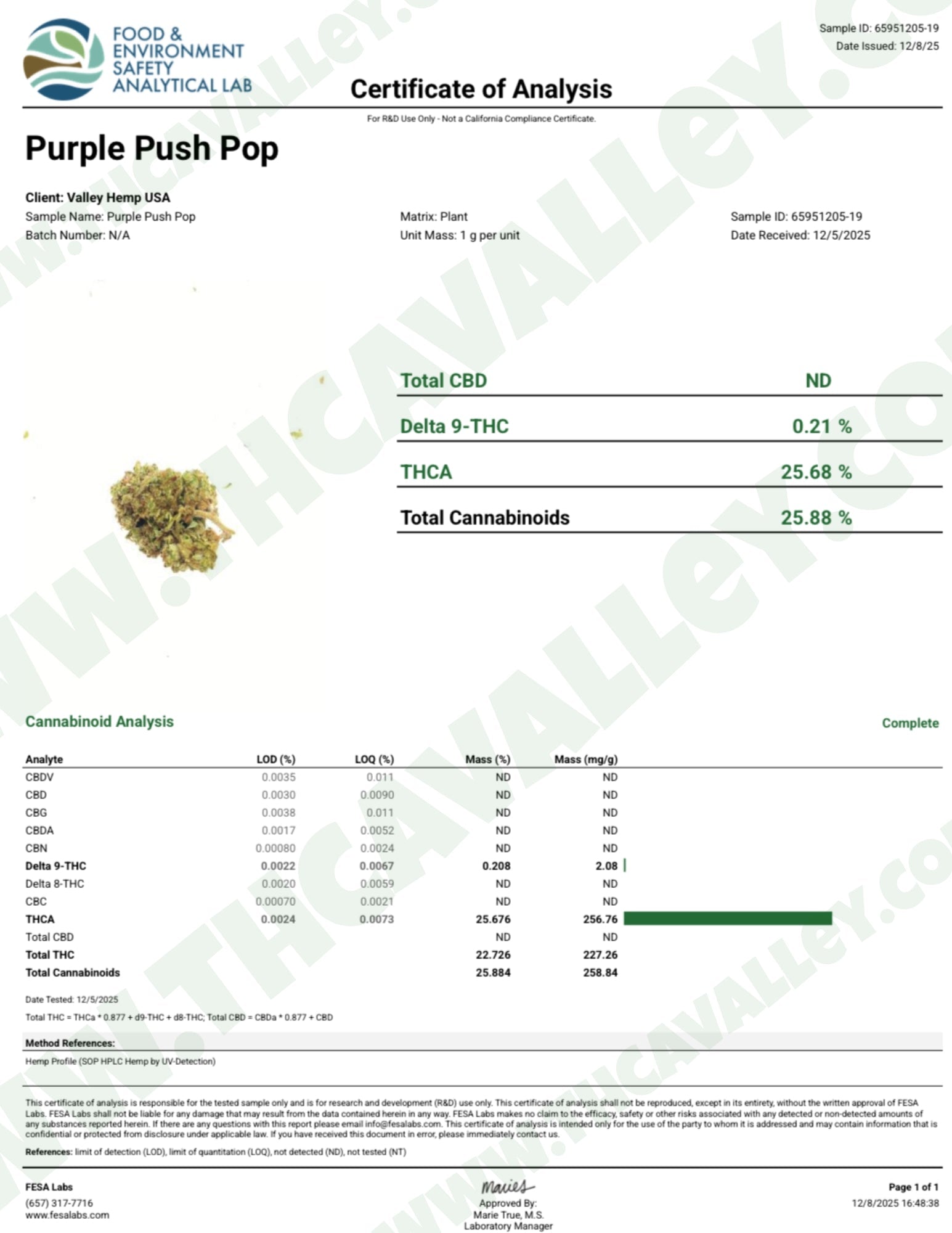 Purple Push Pop (Wholesale) - Valley Hemp