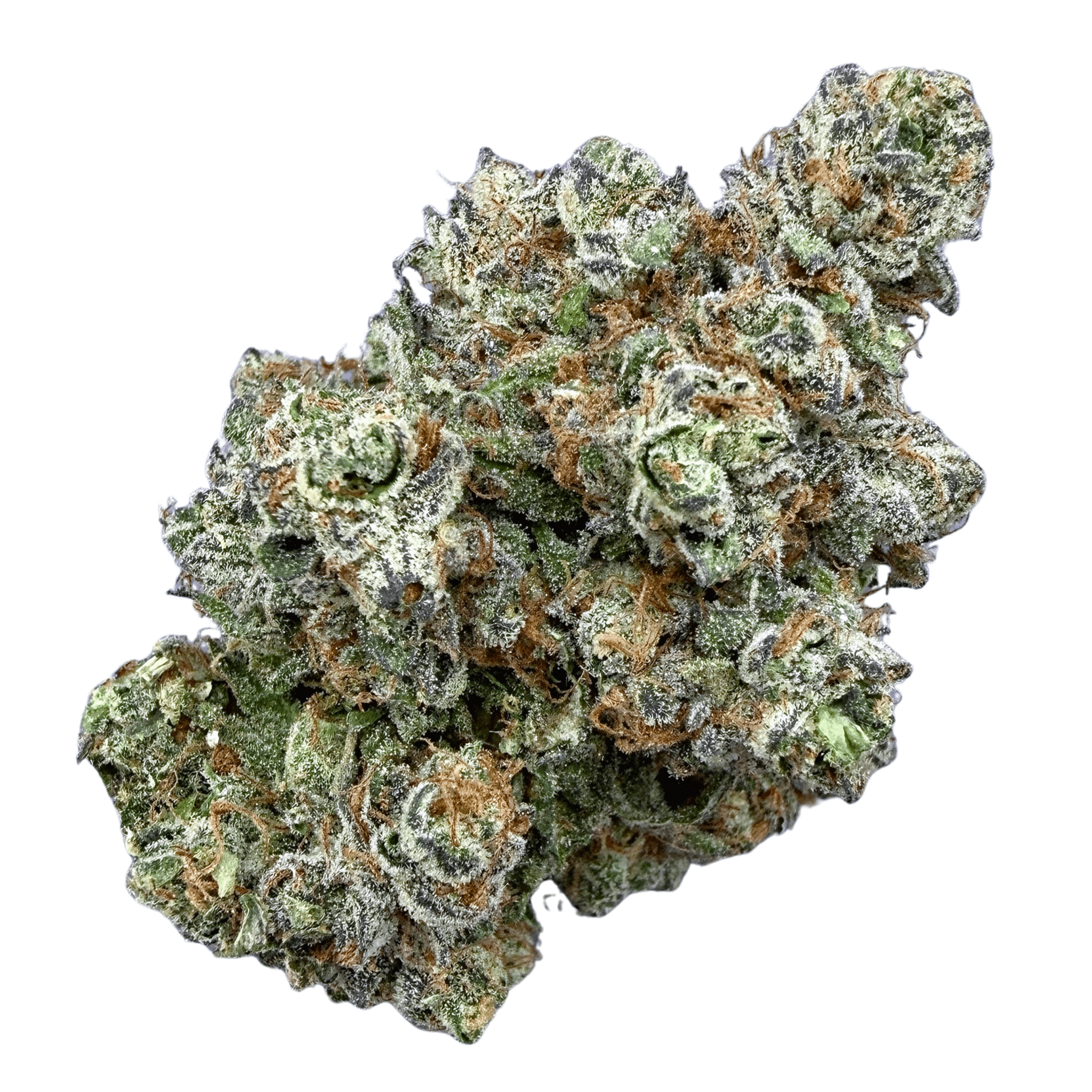 Purple Push Pop (Wholesale) - Valley Hemp