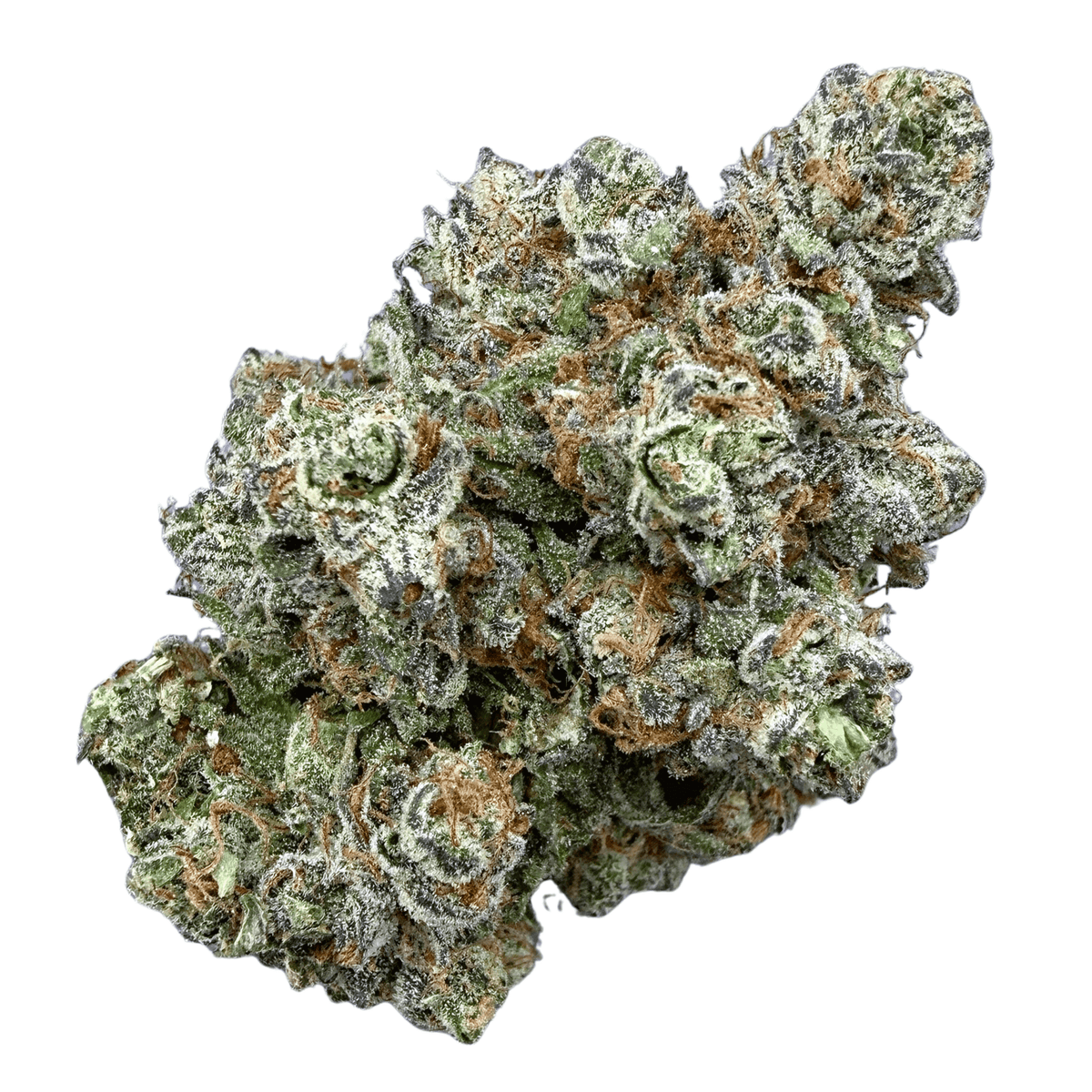 Purple Push Pop (Wholesale) - Valley Hemp