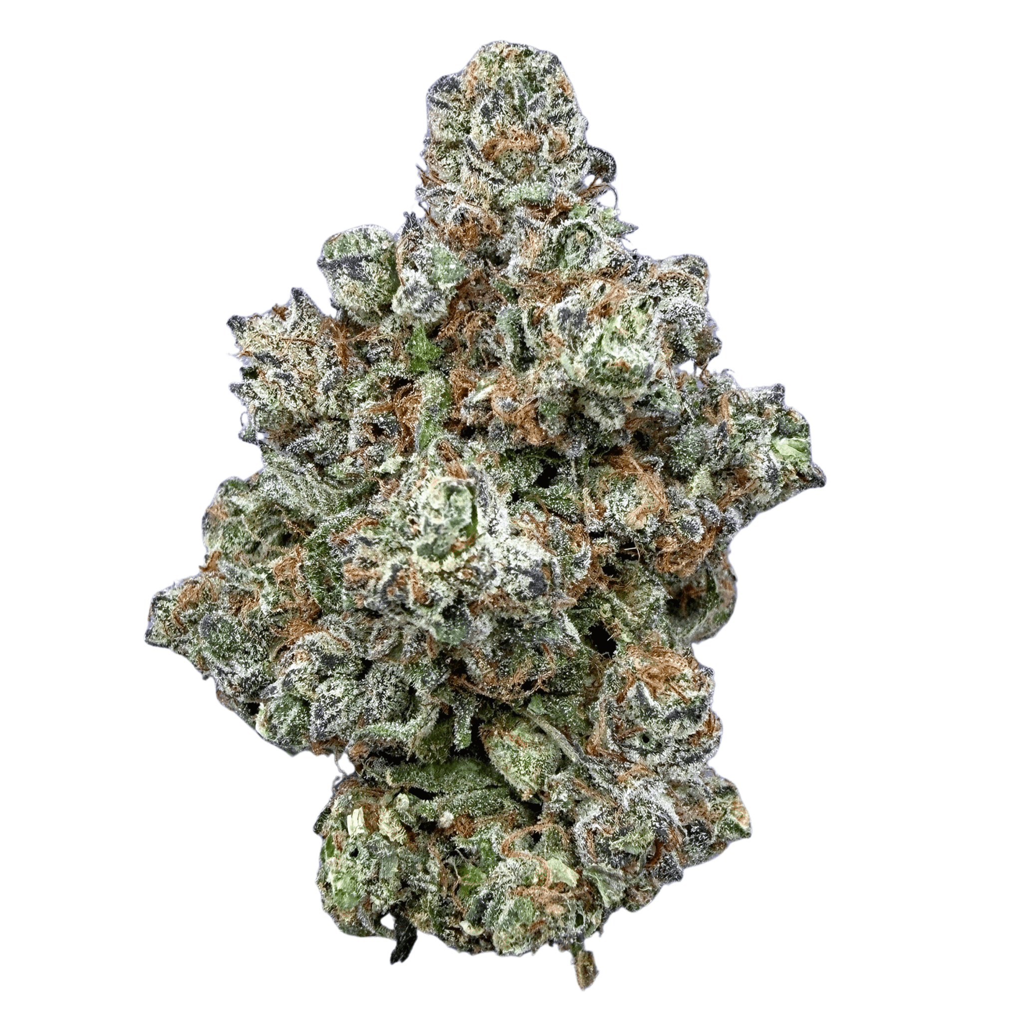 Purple Push Pop (Wholesale) - Valley Hemp