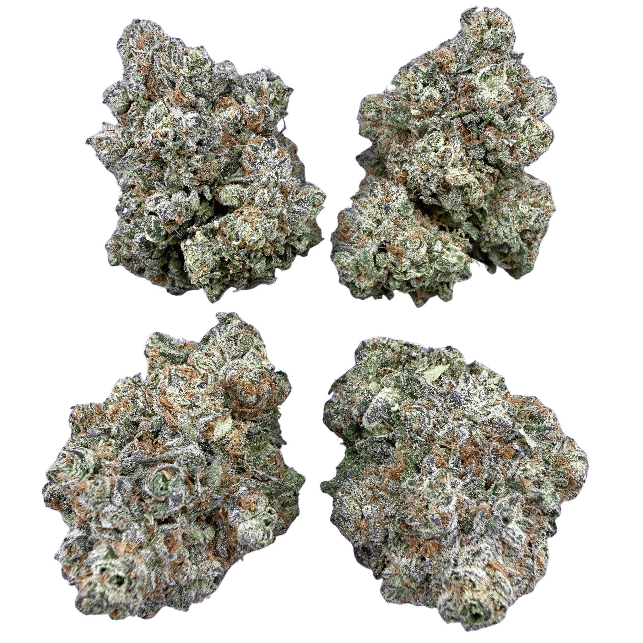Purple Push Pop (Wholesale) - Valley Hemp