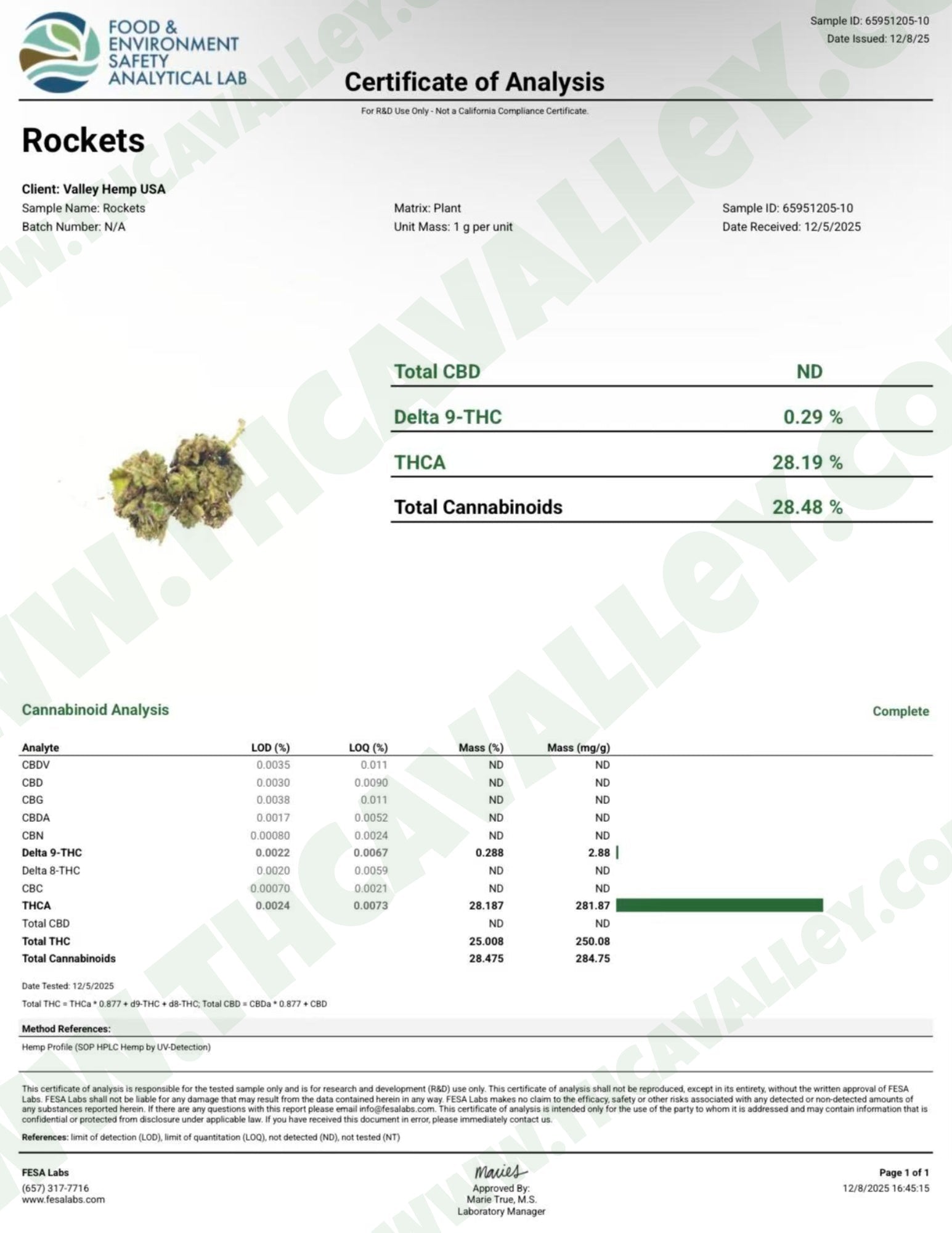 Rockets (Wholesale) - Valley Hemp