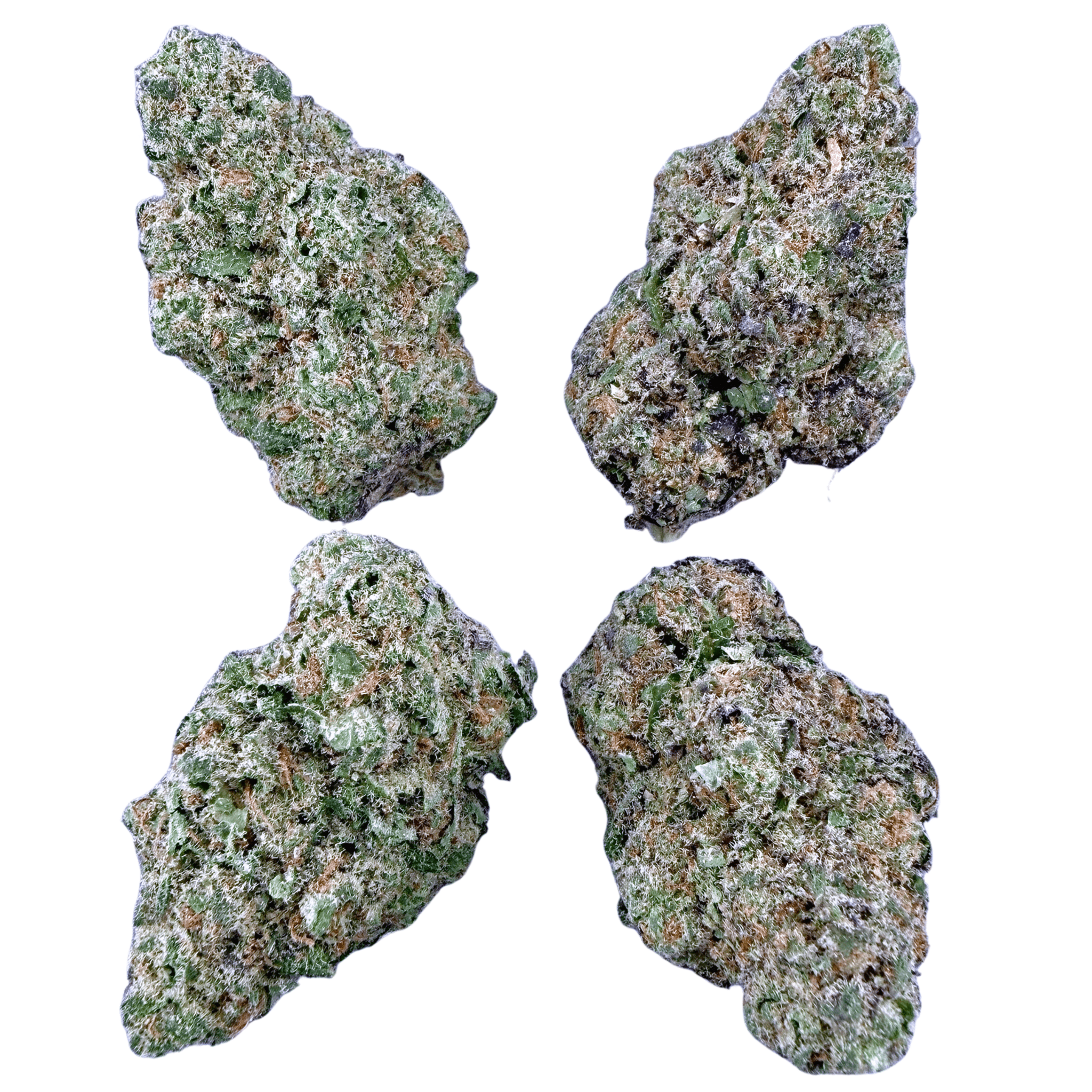 Rockets (Wholesale) - Valley Hemp