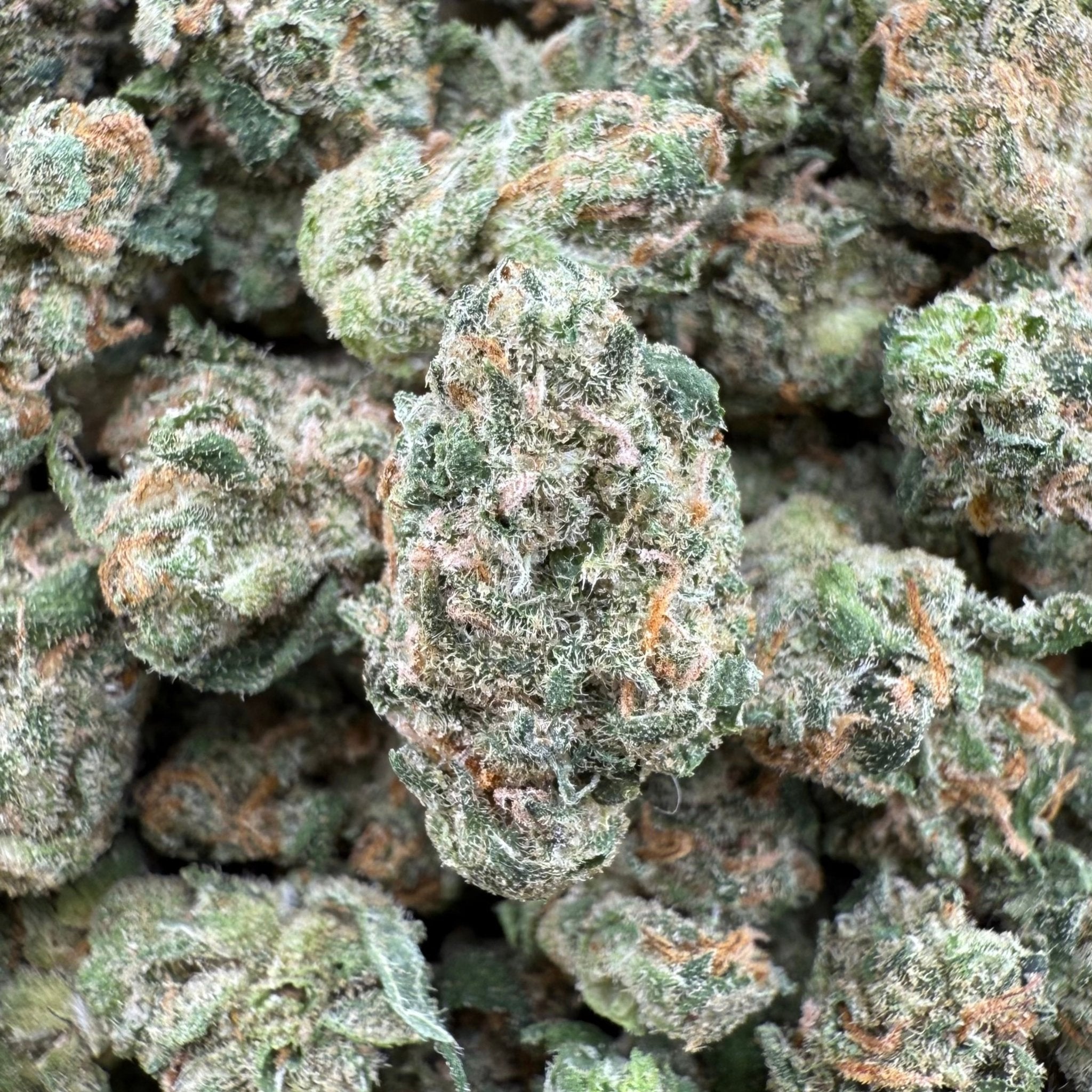 Silver Haze THCa Smalls (Wholesale) - Valley Hemp