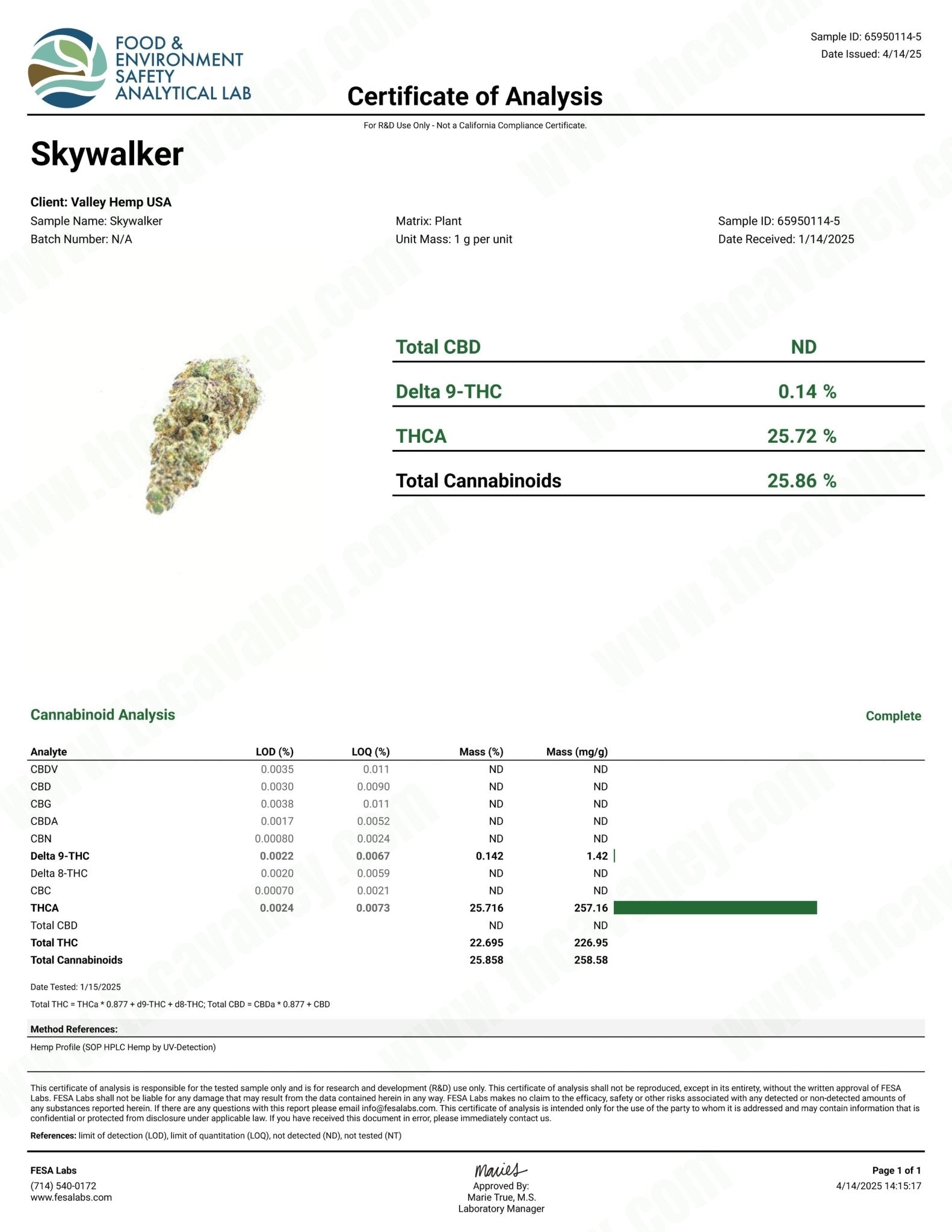 Skywalker - Valley Hemp