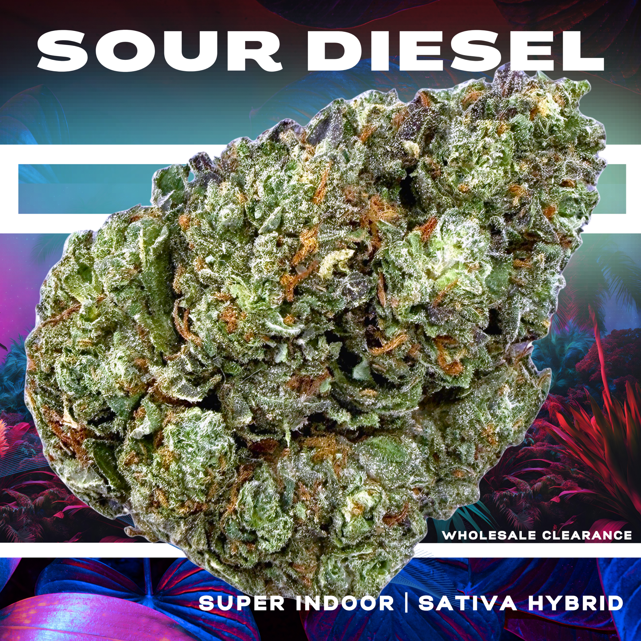 Sour Diesel (Wholesale Clearance) - Valley Hemp