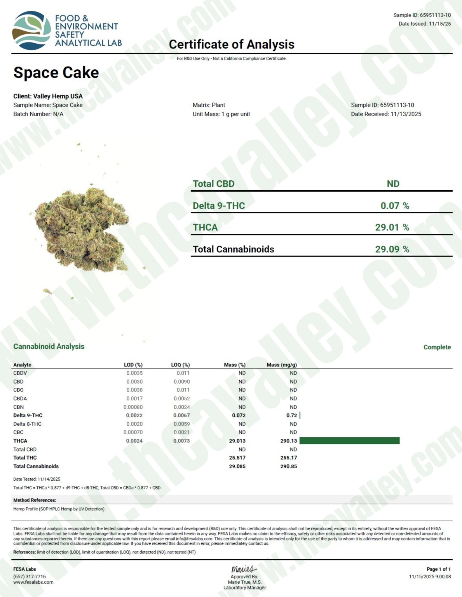 Space Cake (Wholesale) - Valley Hemp