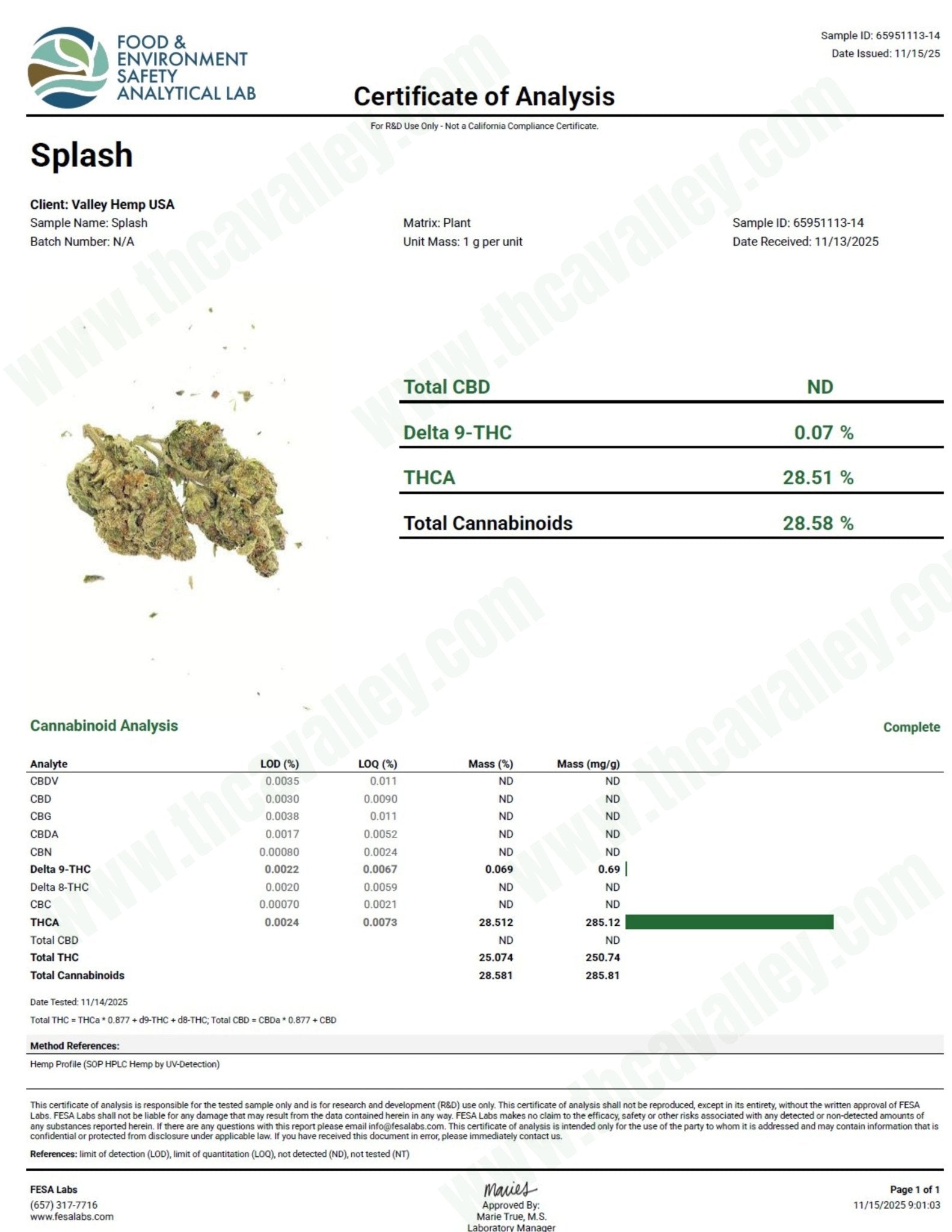 Splash - Valley Hemp