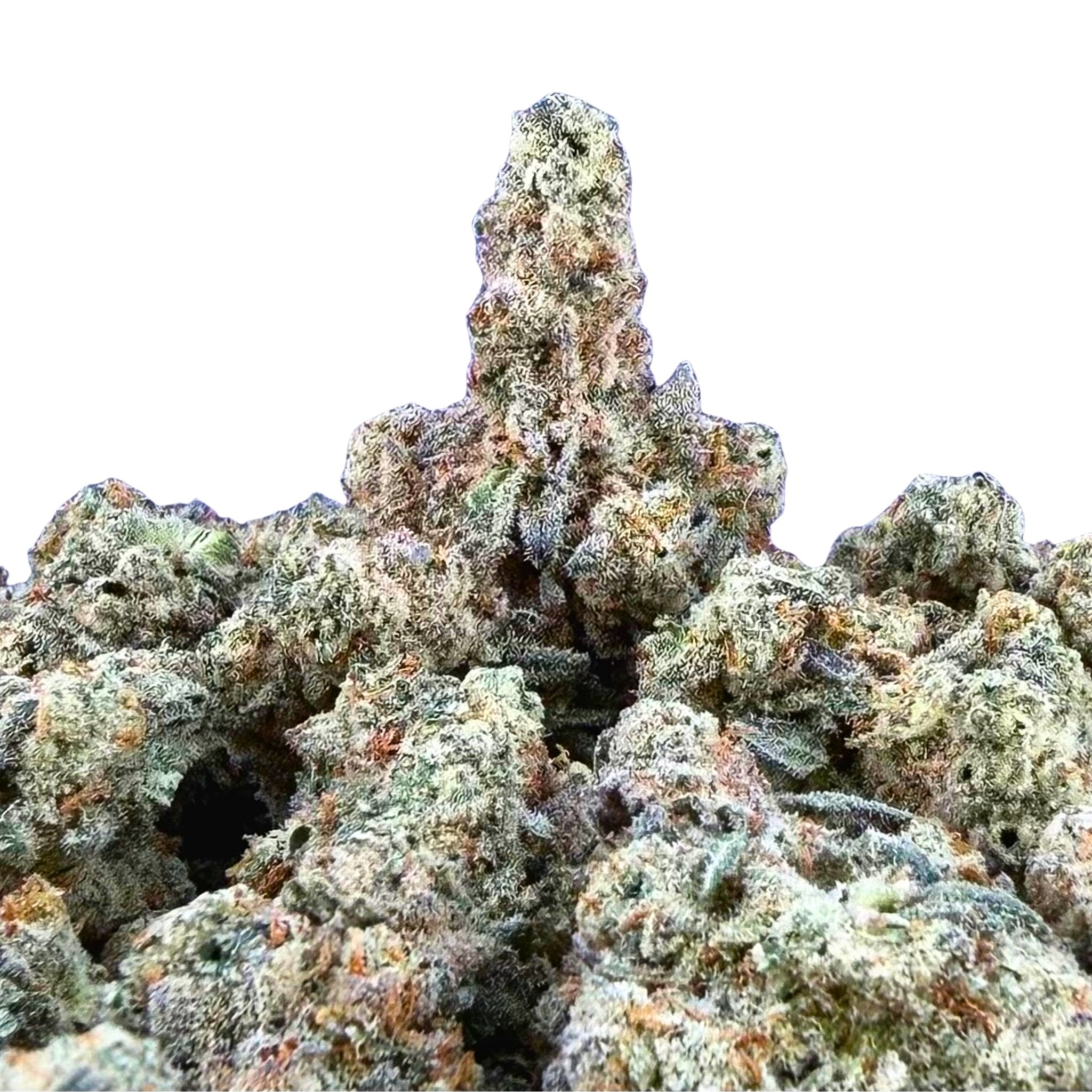 Splash - Valley Hemp