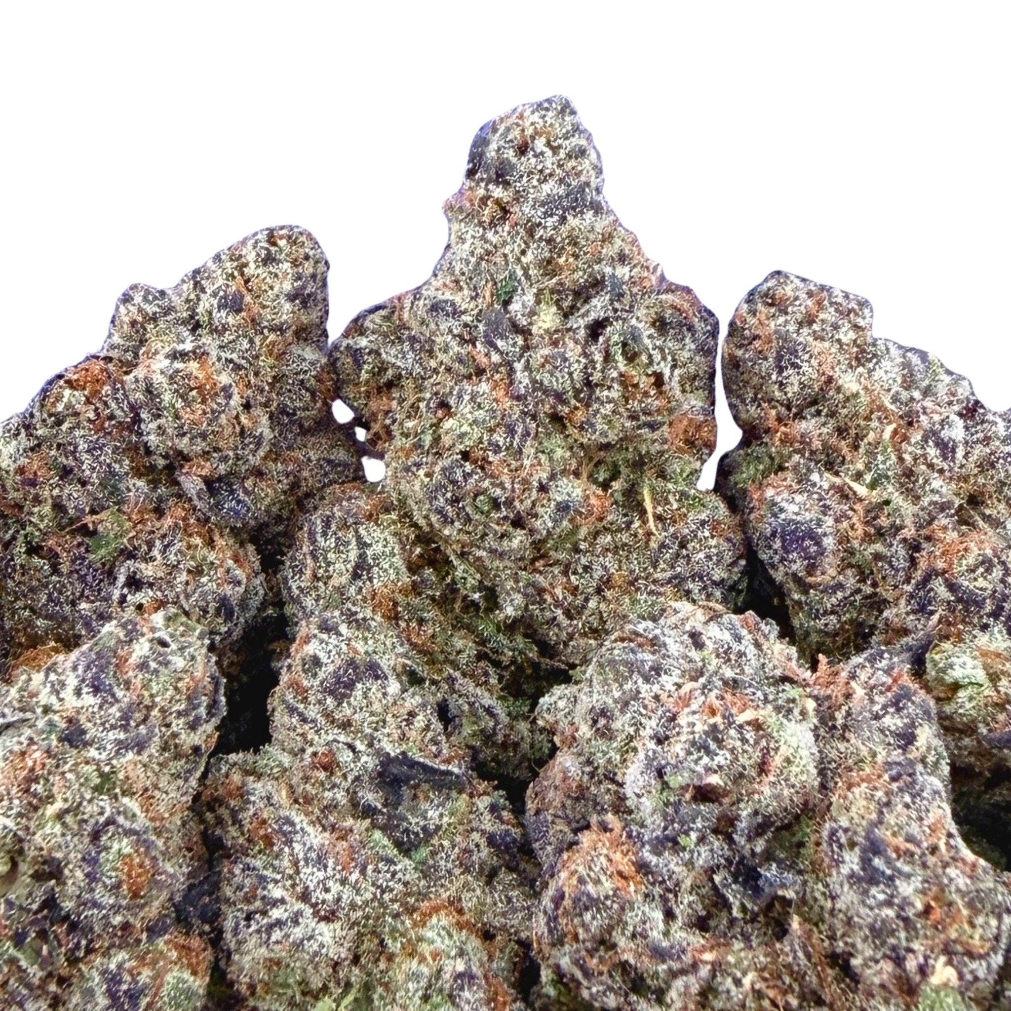 Starburst ( Wholesale ) - Valley Hemp