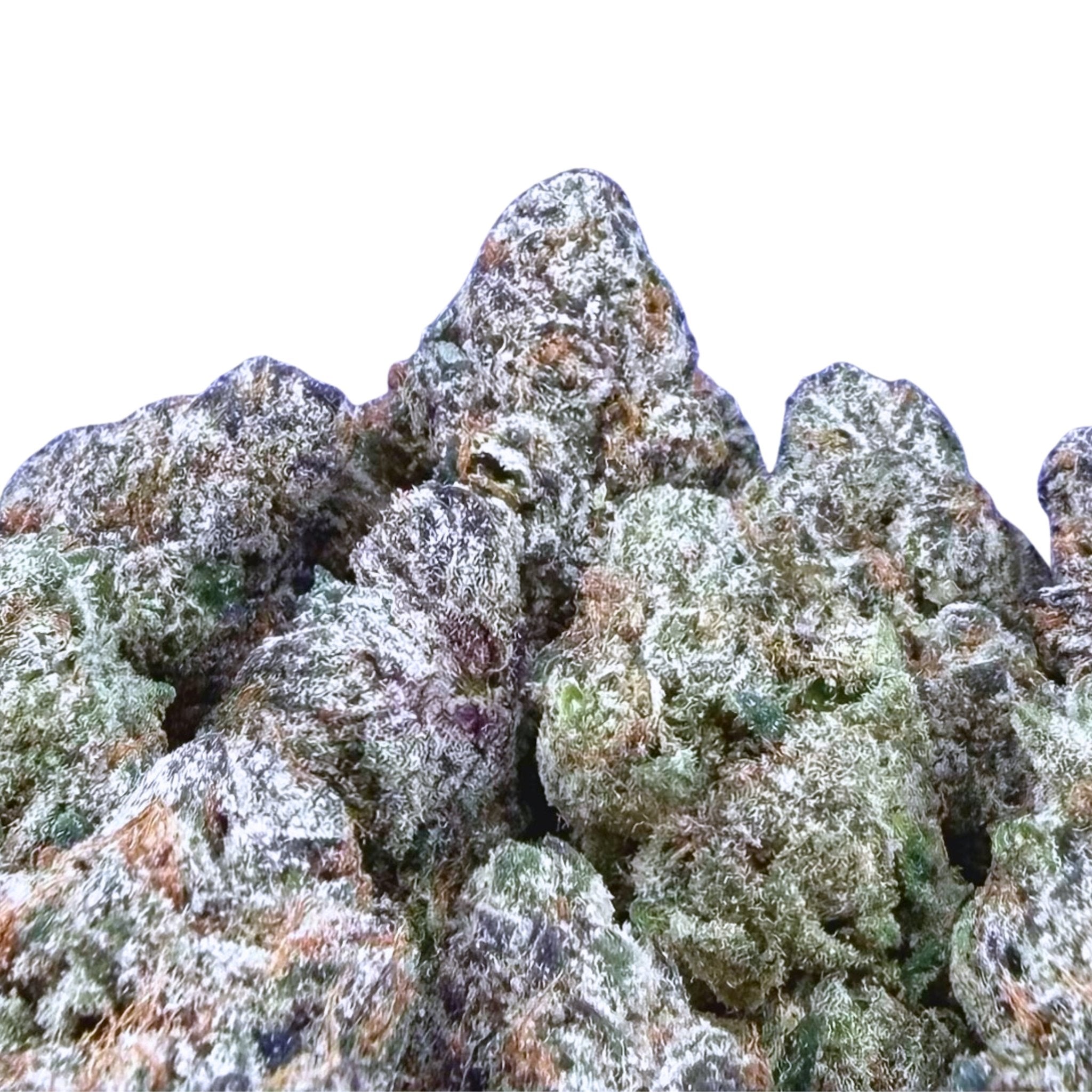 Starburst ( Wholesale ) - Valley Hemp