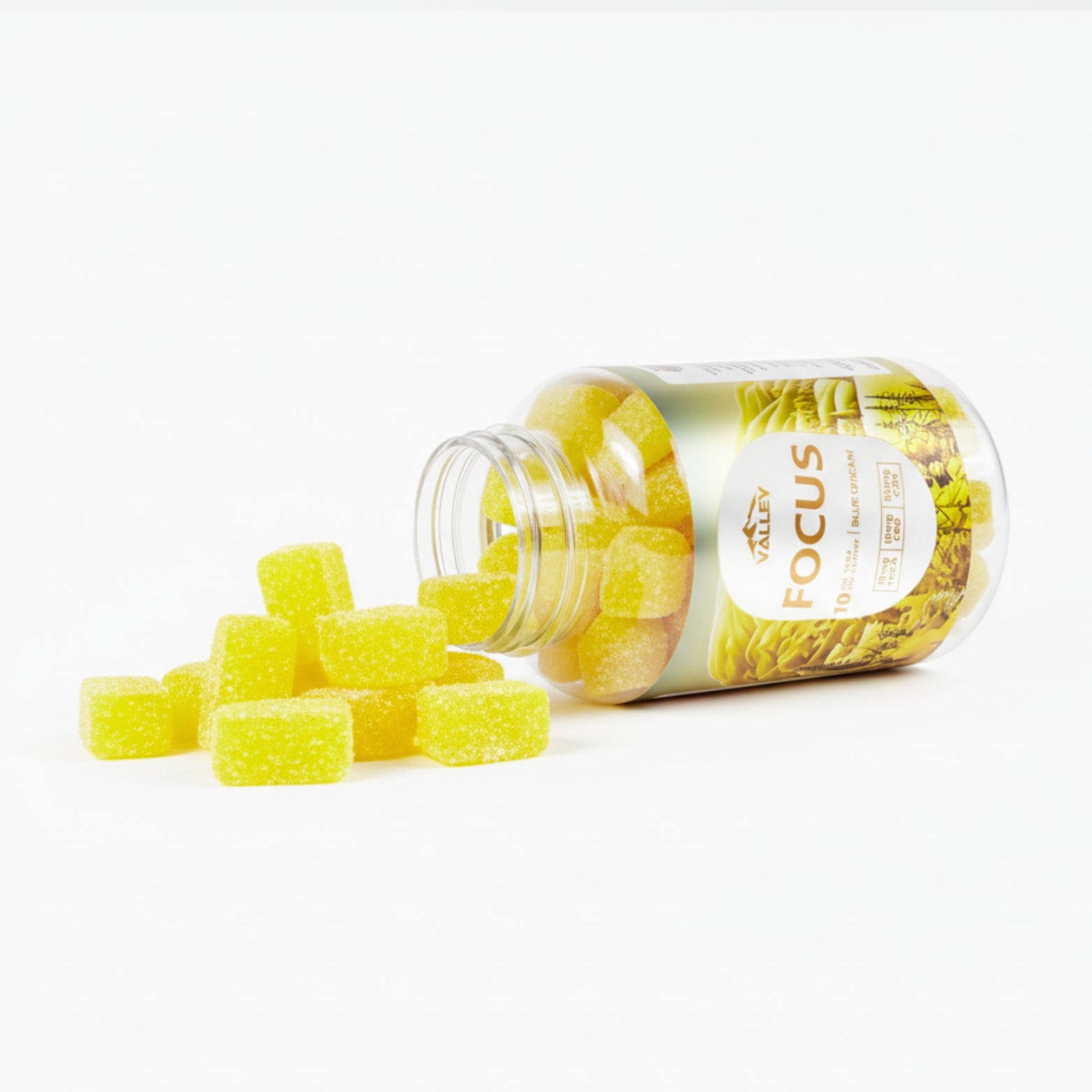 THCa FOCUS Gummies 20pcs Upgraded - Valley Hemp