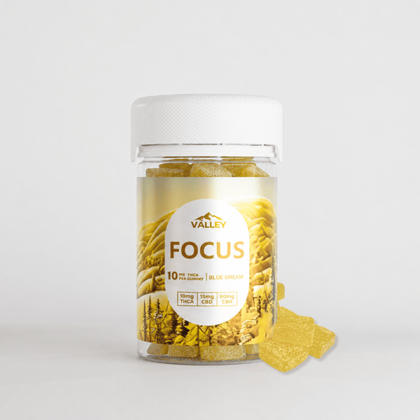 THCa FOCUS Gummies 20pcs Upgraded - Valley Hemp