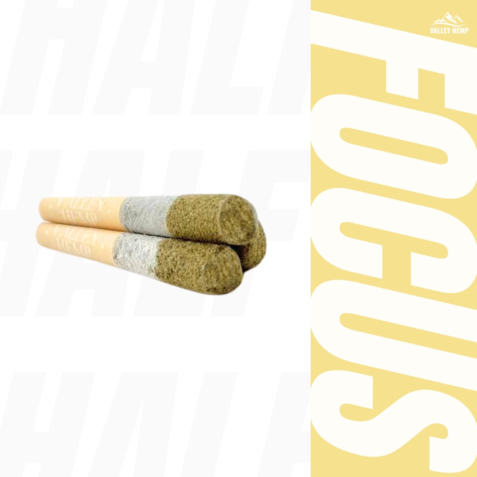 THCA HALF& HALF PREROLL - GARY PAYTON - VALLEY HEMP