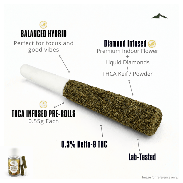 THCA Infused Preroll- Gary Payton - Valley Hemp