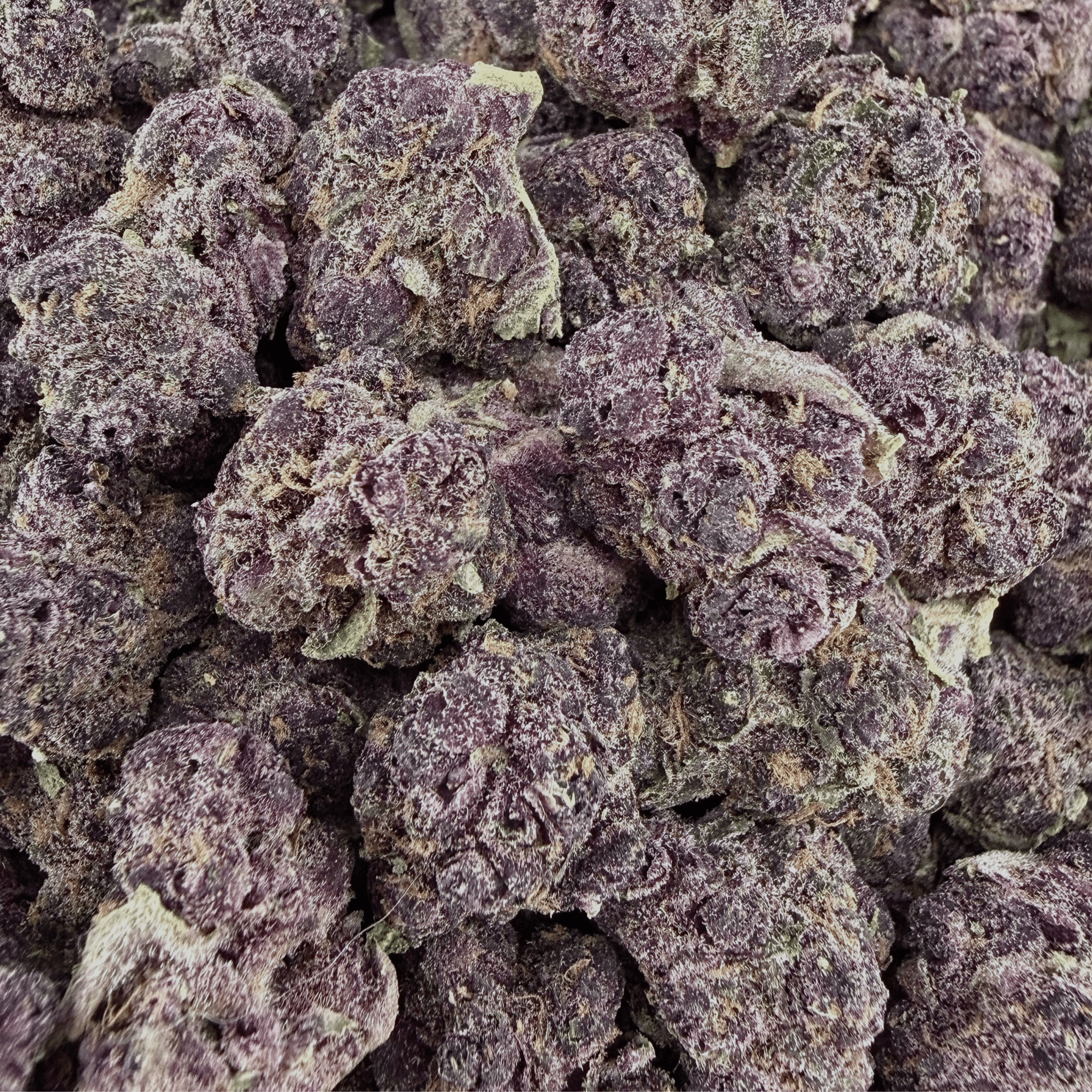 Tropicana Cherries THCa Smalls (Wholesale) - Valley Hemp