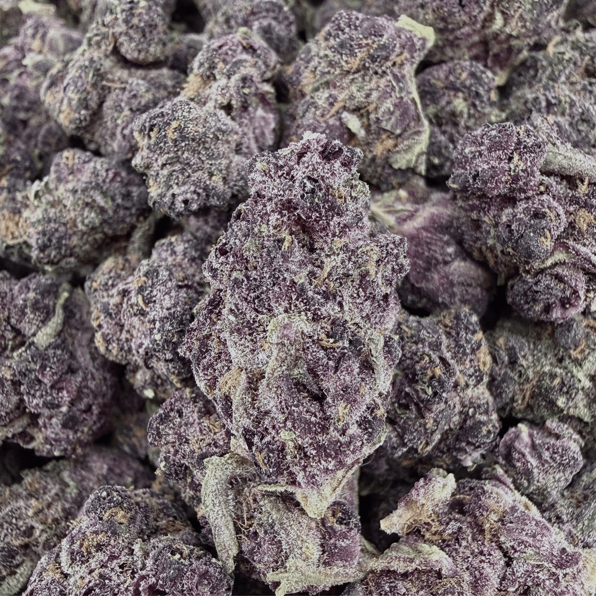 Tropicana Cherries THCa Smalls (Wholesale) - Valley Hemp
