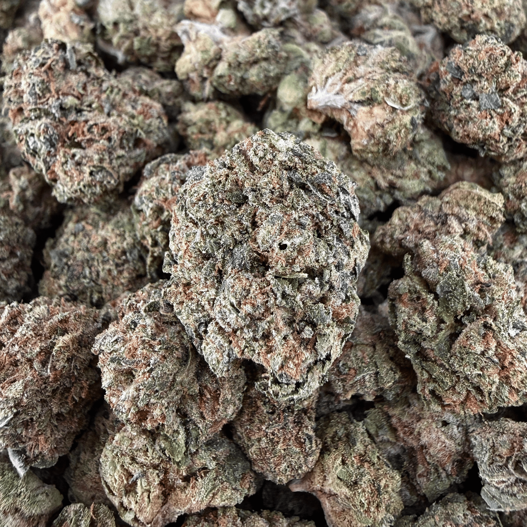 White Runtz THCa Smalls (Wholesale) - Valley Hemp