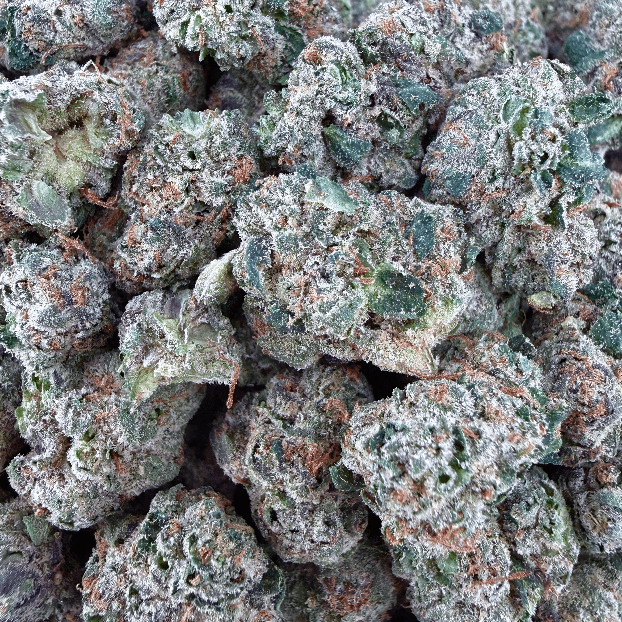 Zkittlez THCa Smalls (Wholesale) - Valley Hemp