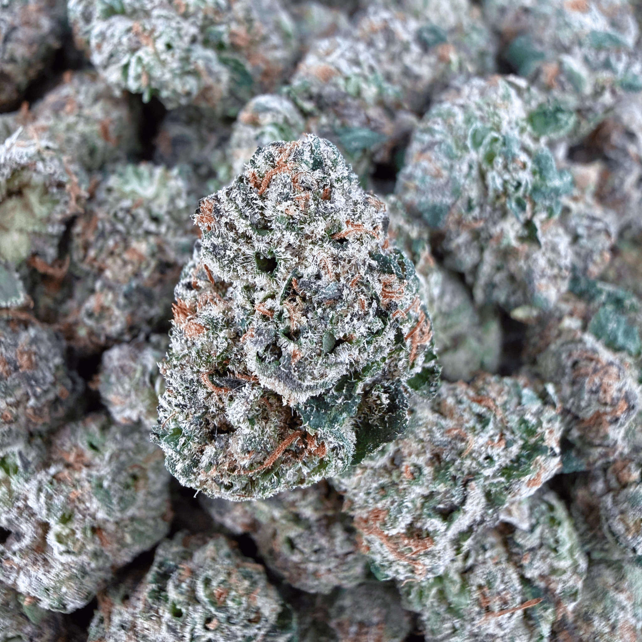 Zkittlez THCa Smalls (Wholesale) - Valley Hemp